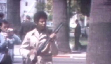 How the Black Panther Party impacted California's gun control laws