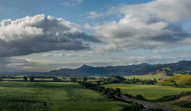 Construction of $8.7M Wild Animal 'Safe Passage" across Highway 101 Set for 2028