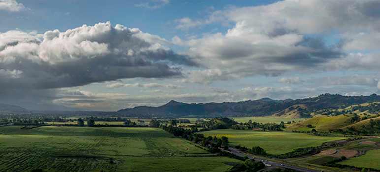 Construction of $8.7M Wild Animal 'Safe Passage" across Highway 101 Set for 2028