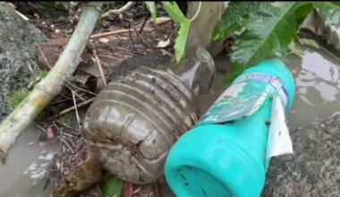 Rainstorm makes the heavily polluted, toxic Tijuana River Valley worse – NBC 7 San Diego
