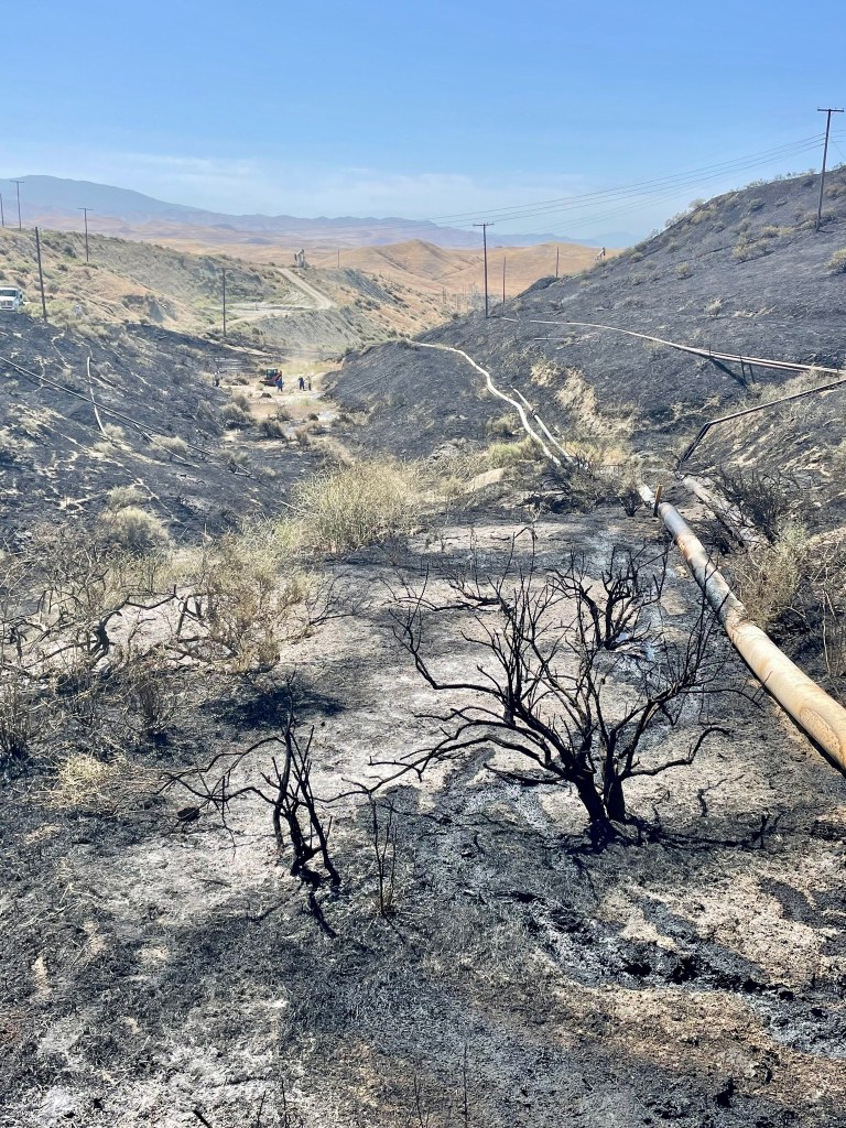 Charred landscape with scorched bushes and blackened ground in a valley. Clear blue sky contrasts starkly with the devastation below.