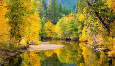 Yahoo lifestyle home