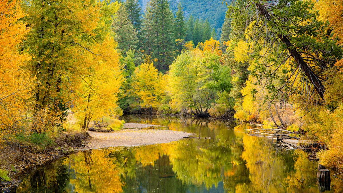 Yahoo lifestyle home