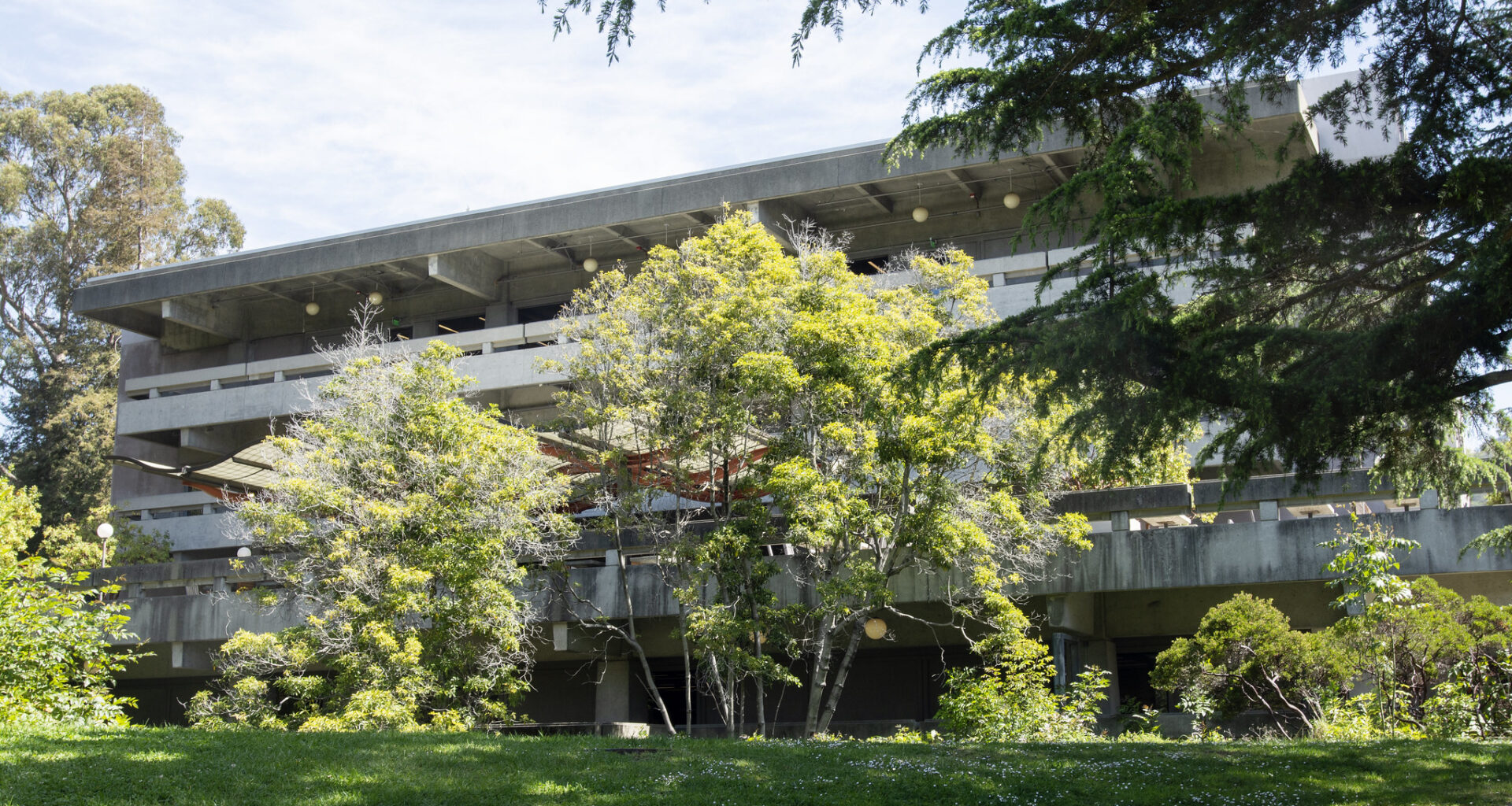 Man who crashed scooter at UC Berkeley has died