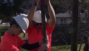 Volunteers gather to plant trees in San Jose for MLK Day of Service