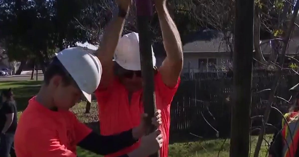 Volunteers gather to plant trees in San Jose for MLK Day of Service