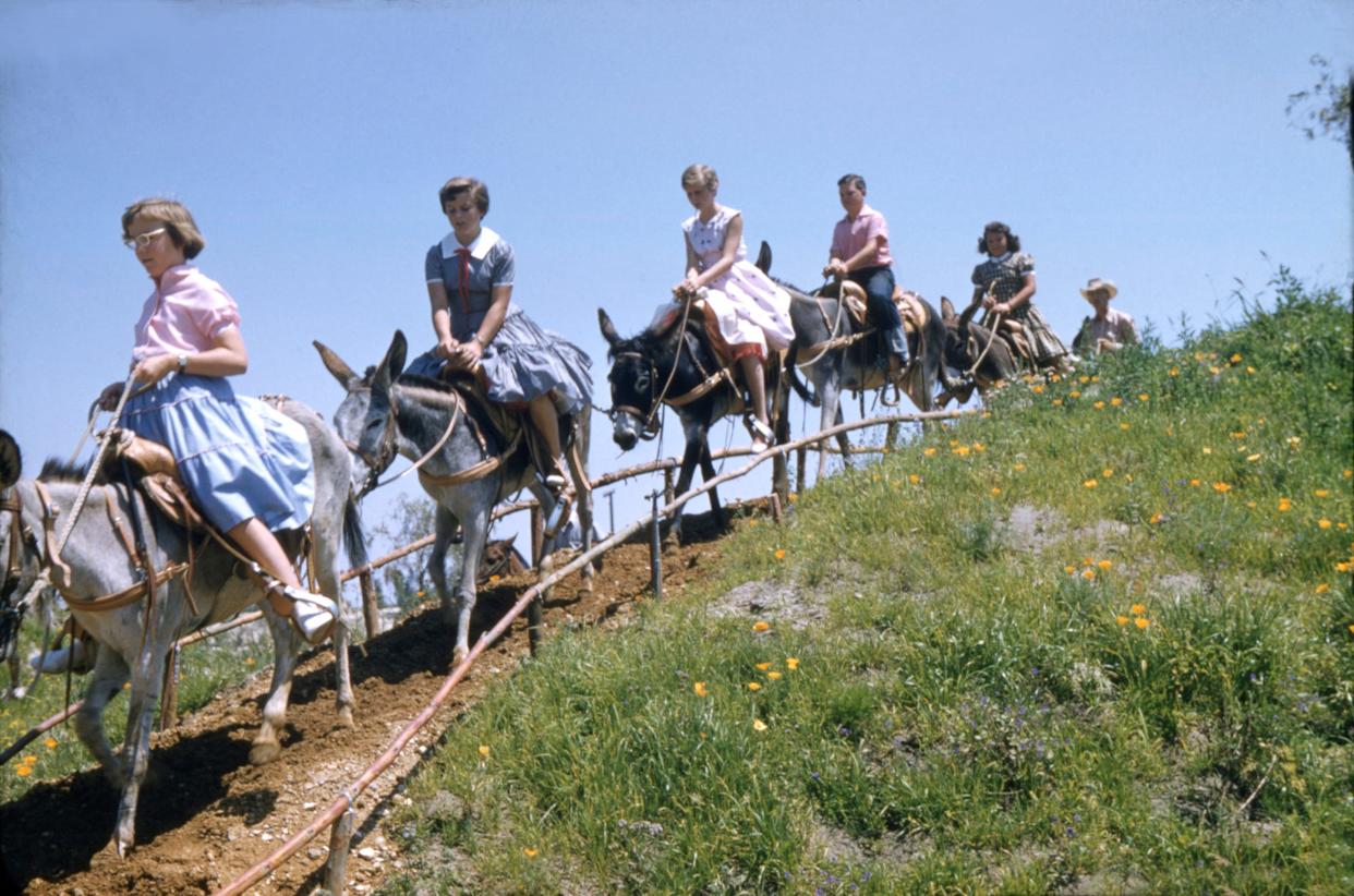 A Disneyland attraction involving pack mule rides has since been retired.