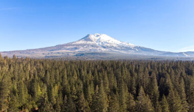 Yahoo lifestyle home