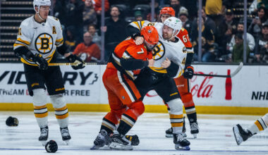 Anaheim Ducks acquire tough forward Jeffrey Viel from Boston Bruins in trade for 4th-round pick