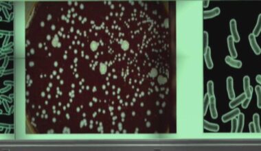 Oakland County reports strides in tackling legionella outbreak | News