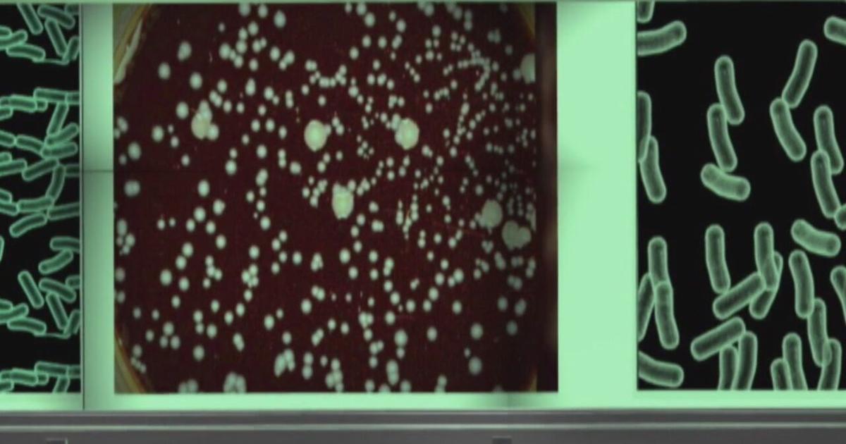 Oakland County reports strides in tackling legionella outbreak | News