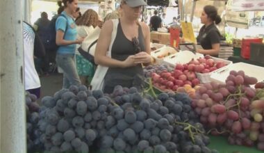 Why the Oak Park Farmers’ Market is closing and what comes next