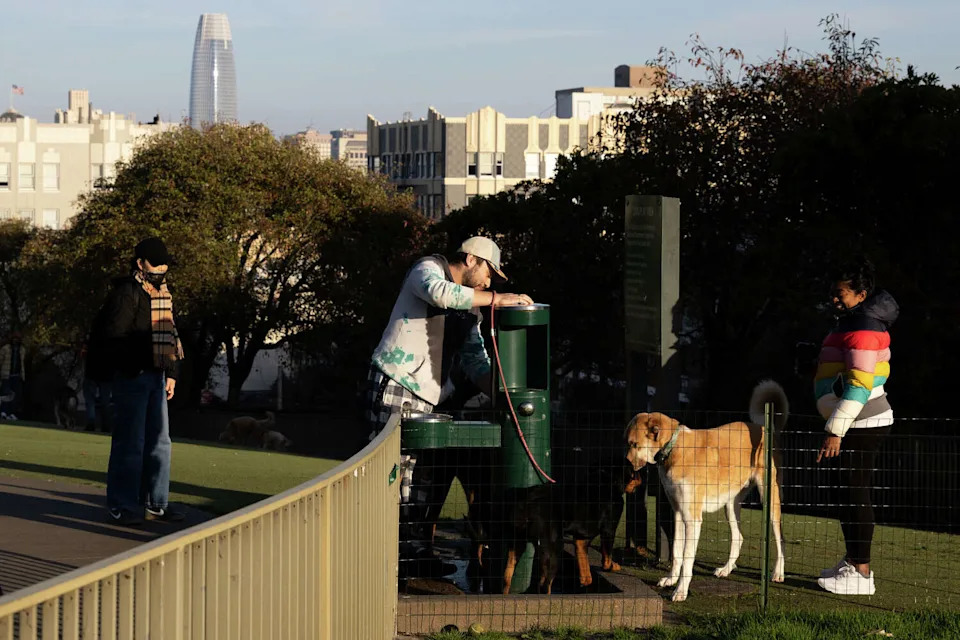 Pedestrians and dogs visit Lafayette Park in San Francisco on Monday, Jan. 26, 2026. A mountain lion sighting has been reported in the area. (Benjamin Fanjoy/For the S.F. Chronicle)