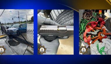 Sacramento juvenile held after shooting at father ending in police pursuit | News