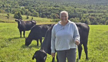 Rosalie Williams preserves 240 acres in Bakersfield | Local News