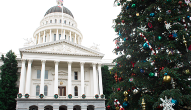 With law taking effect, California strengthens plastic bag ban | California