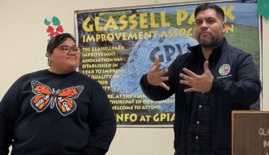 Councilmembers Eunisses Hernandez and Hugo-Soto Martinez weigh in on expanding the L.A. City Council | Government And Politics