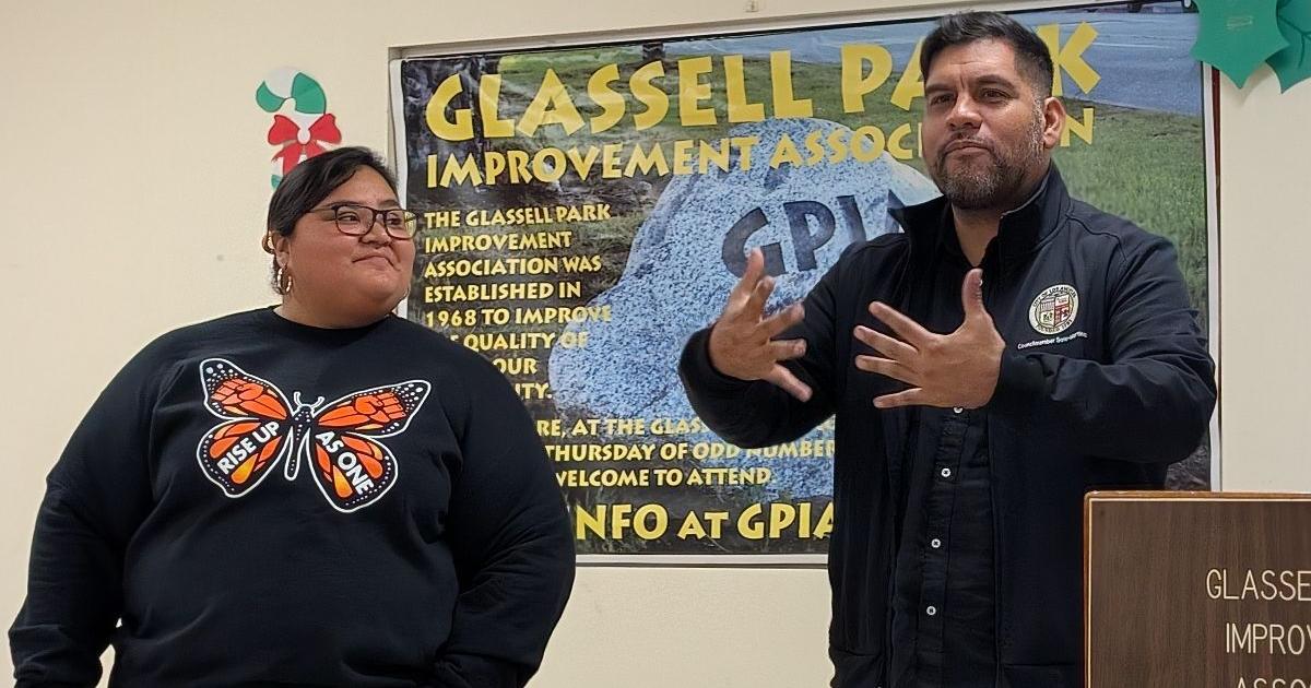 Councilmembers Eunisses Hernandez and Hugo-Soto Martinez weigh in on expanding the L.A. City Council | Government And Politics