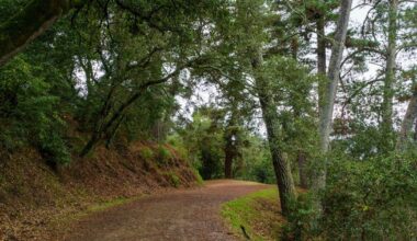 Dead body found near UC Berkeley’s Clark Kerr Campus, investigation underway | Campus