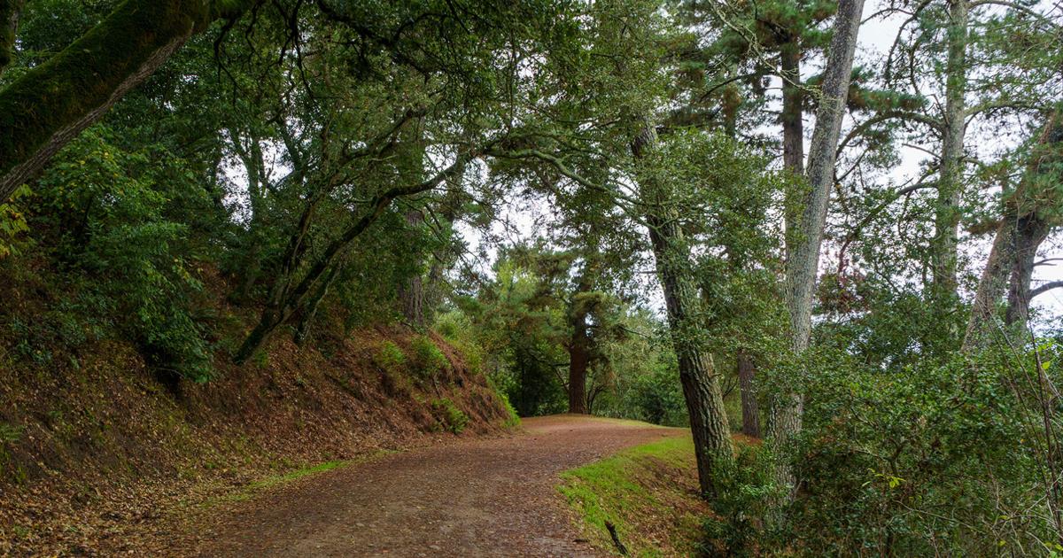 Dead body found near UC Berkeley’s Clark Kerr Campus, investigation underway | Campus