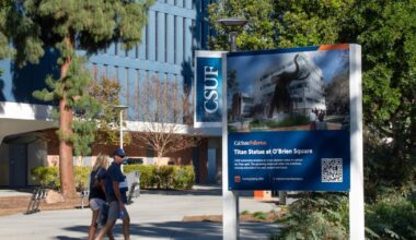 Donor-funded elephant statue construction delayed | News