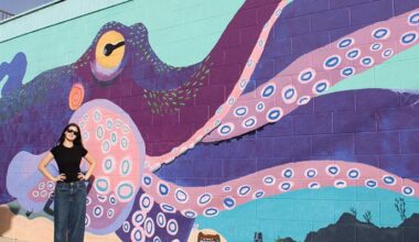 CoSA Artist’s Mural Becomes A Pokémon Go Spot | Coronado Island News