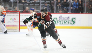 AHL Power Rankings: Teams Hit Season's Midpoint