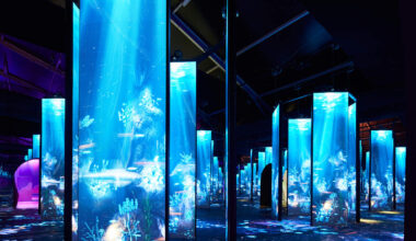 Have You Checked Out The Bubble Planet Experience In Los Angeles!? | 102.7 KIIS-FM