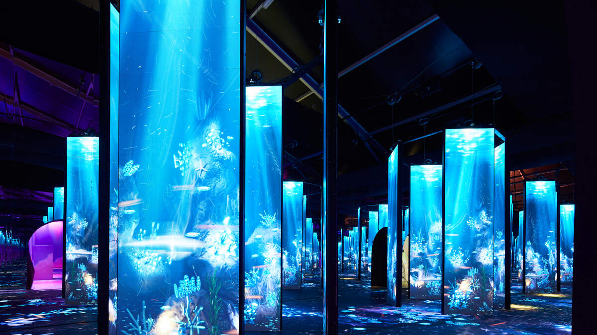 Have You Checked Out The Bubble Planet Experience In Los Angeles!? | 102.7 KIIS-FM