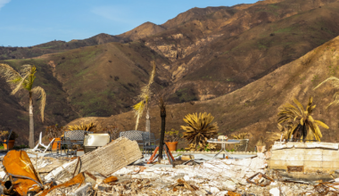 Trump floats 10% bonus for California rebuilders | California