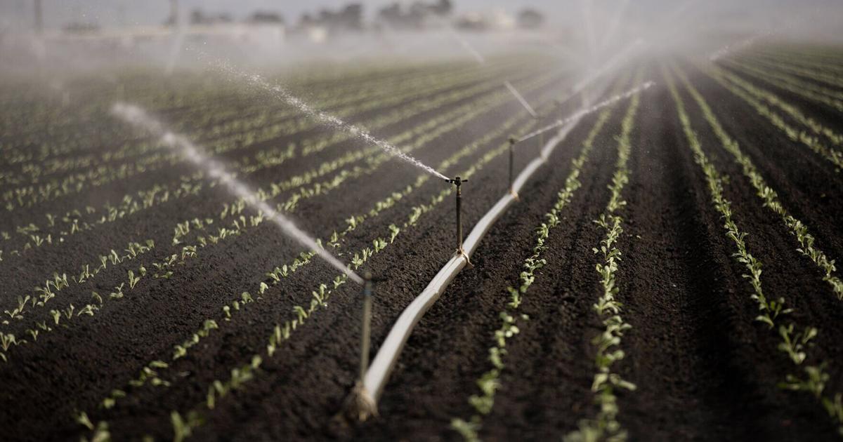 How California lawmakers are trying to speed up spending on voter-approved climate projects | State