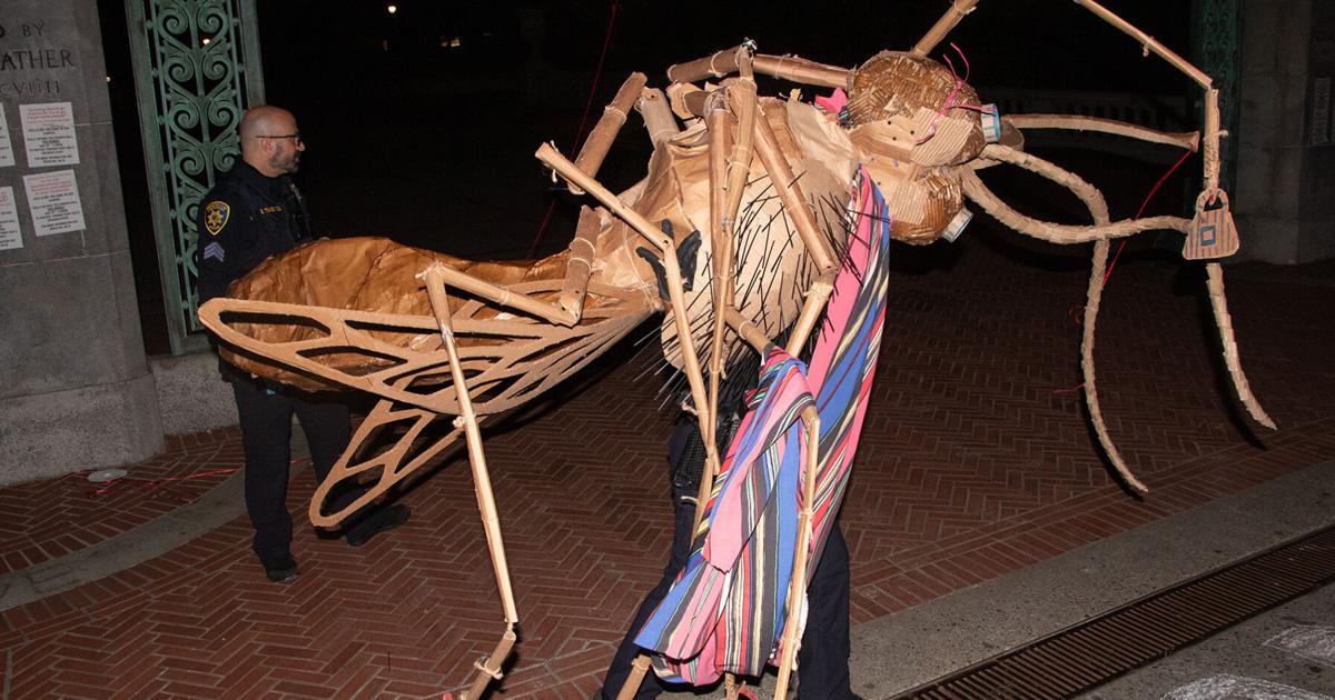 Alameda County DA rejects charges against UC Berkeley students protesting TPUSA with cardboard mosquito | Campus