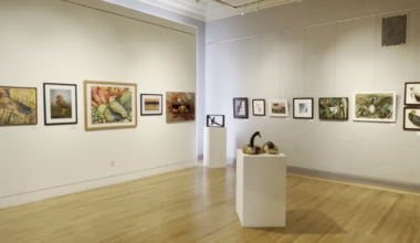 Birds take flight at the Museum of Northern California Art in Chico | News