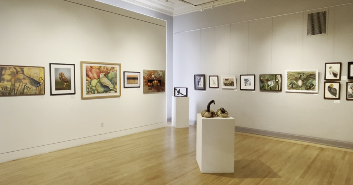 Birds take flight at the Museum of Northern California Art in Chico | News