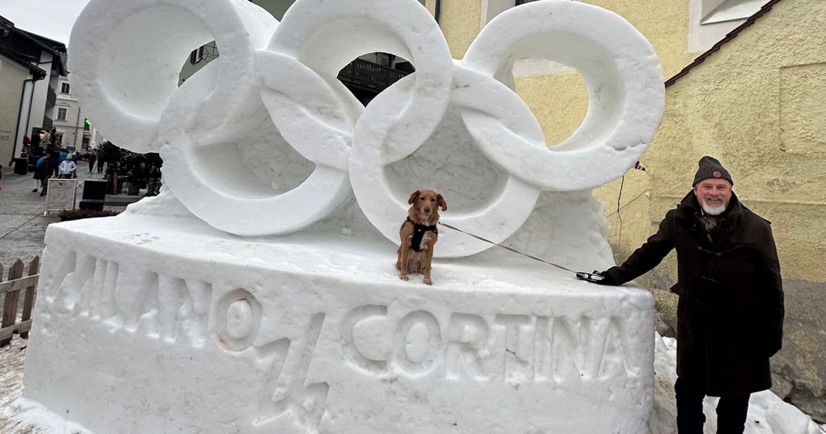 UC Berkeley professor and service dog to carry Winter Olympics torch in Italy | Campus