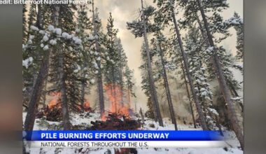 Prescribed burns underway in Montana, Wyoming and California | Montana News