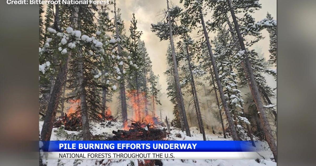 Prescribed burns underway in Montana, Wyoming and California | Montana News