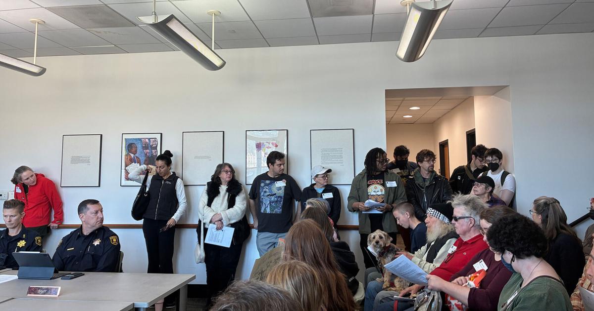 Public safety committee greenlights changes to reporting practices for pepper spray use | City Government