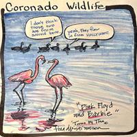 Pink Floyd And Barbie; Cays Coronado Residents | Opinion