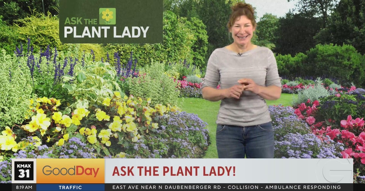 Ask The Plant Lady! (part 1) 8am