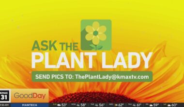 The Plant Lady 9am Pt. 1