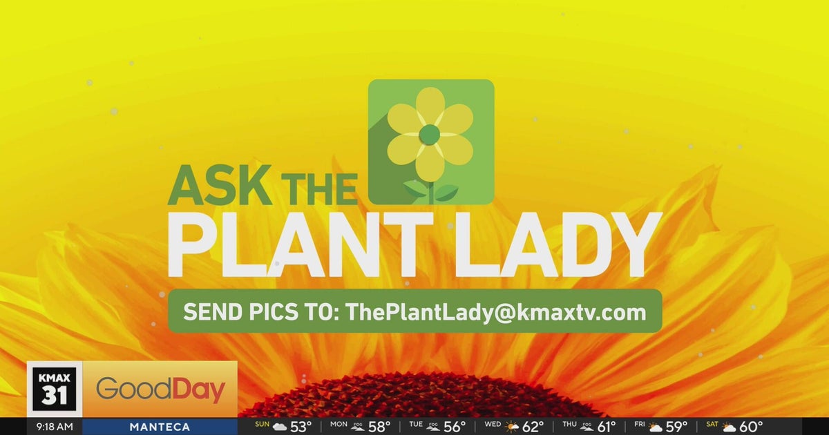 The Plant Lady 9am Pt. 1