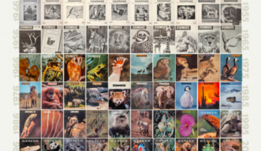 Yahoo lifestyle home