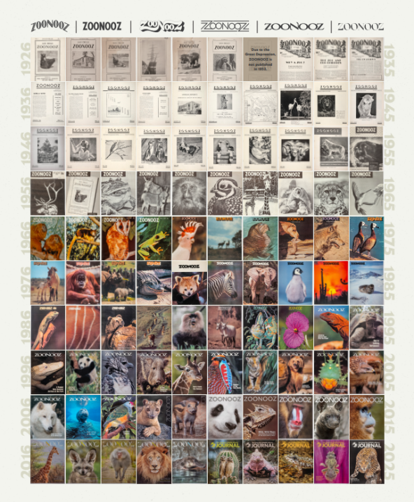 Yahoo lifestyle home