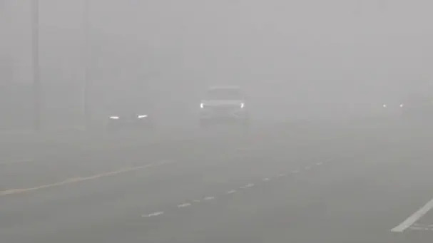 <em>Dense fog fills the atmosphere in the Sacramento Valley on Jan. 19, 2026./FOX40 </em>