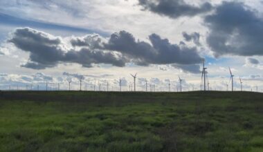 California Forever Gains Momentum