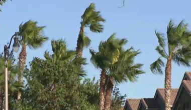 High wind warnings in effect in Southern California through the weekend