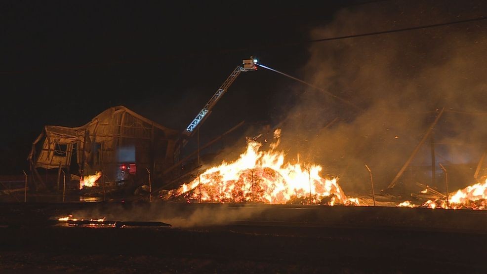 Fire is seen burning next to trees in a "destructive" 2-alarm fire in Lamont, Calif., on July 12, 2025. (KBAK/KBFX)