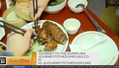 Journey to The Dumpling - Good Day Sacramento