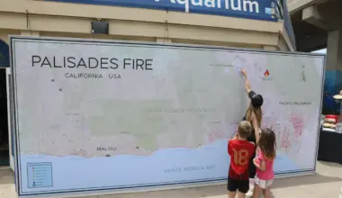 Ocean Safety Standards Lag Year After LA Fires